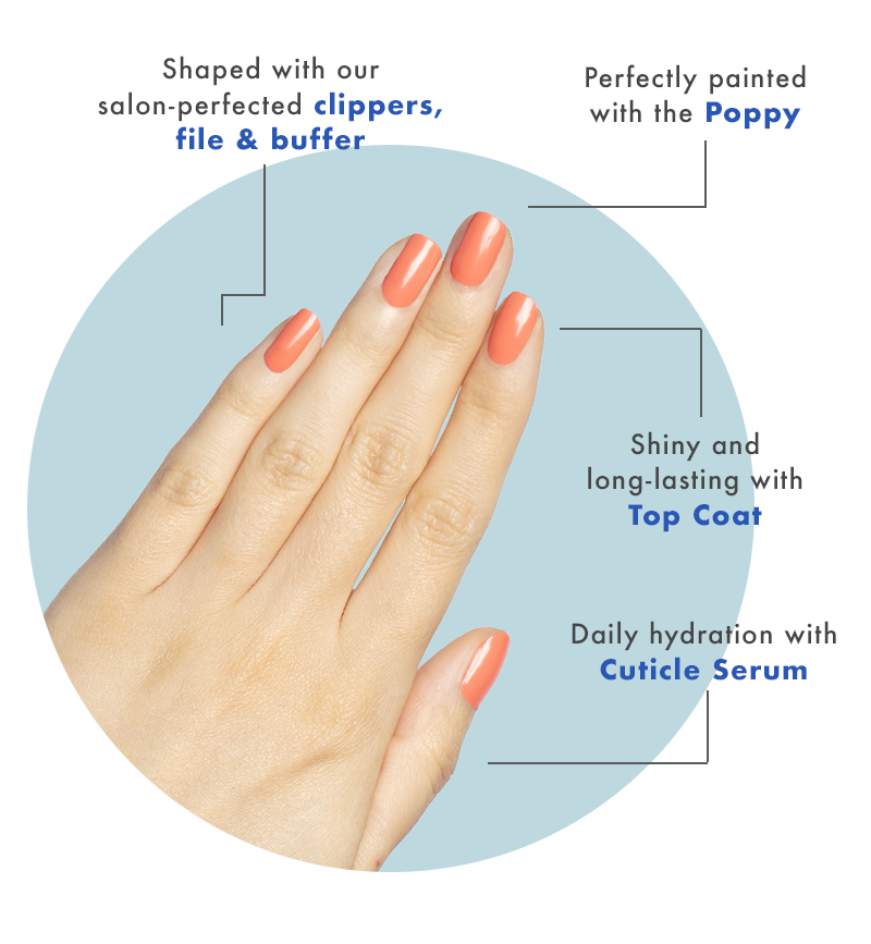 Shaped with clippers, file and buffer. Perfectly painted with the poppy. Long lasting top coat. Daily hydration with cuticle serum.